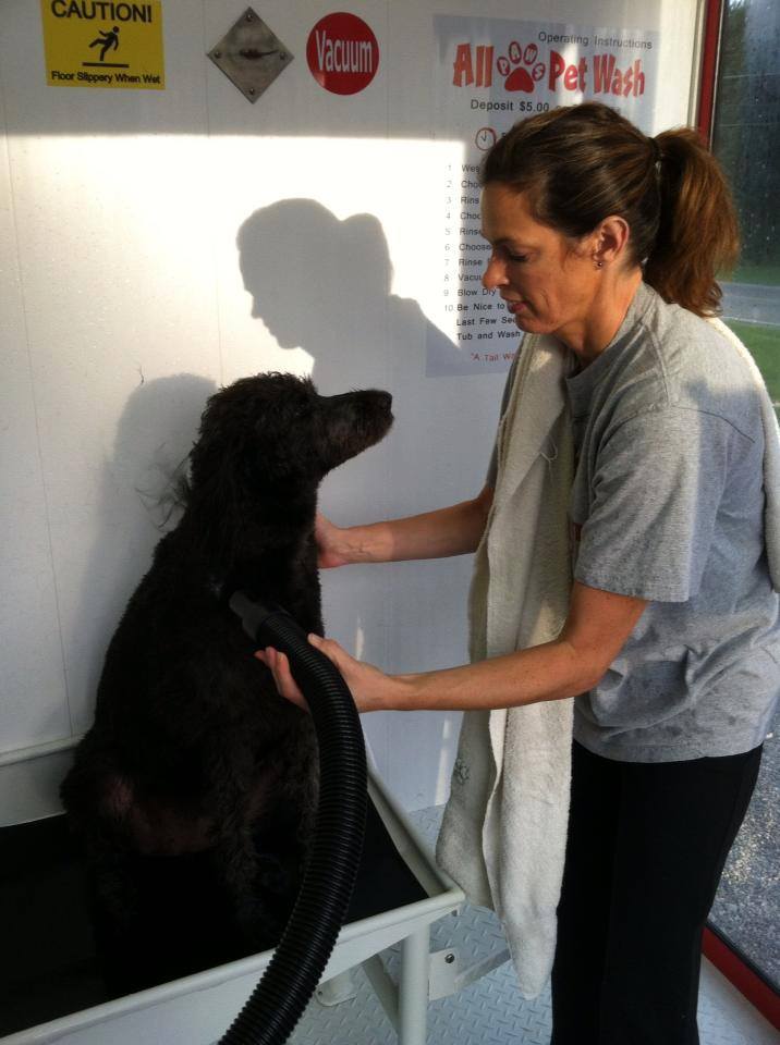 Gallery All Paws Pet Wash