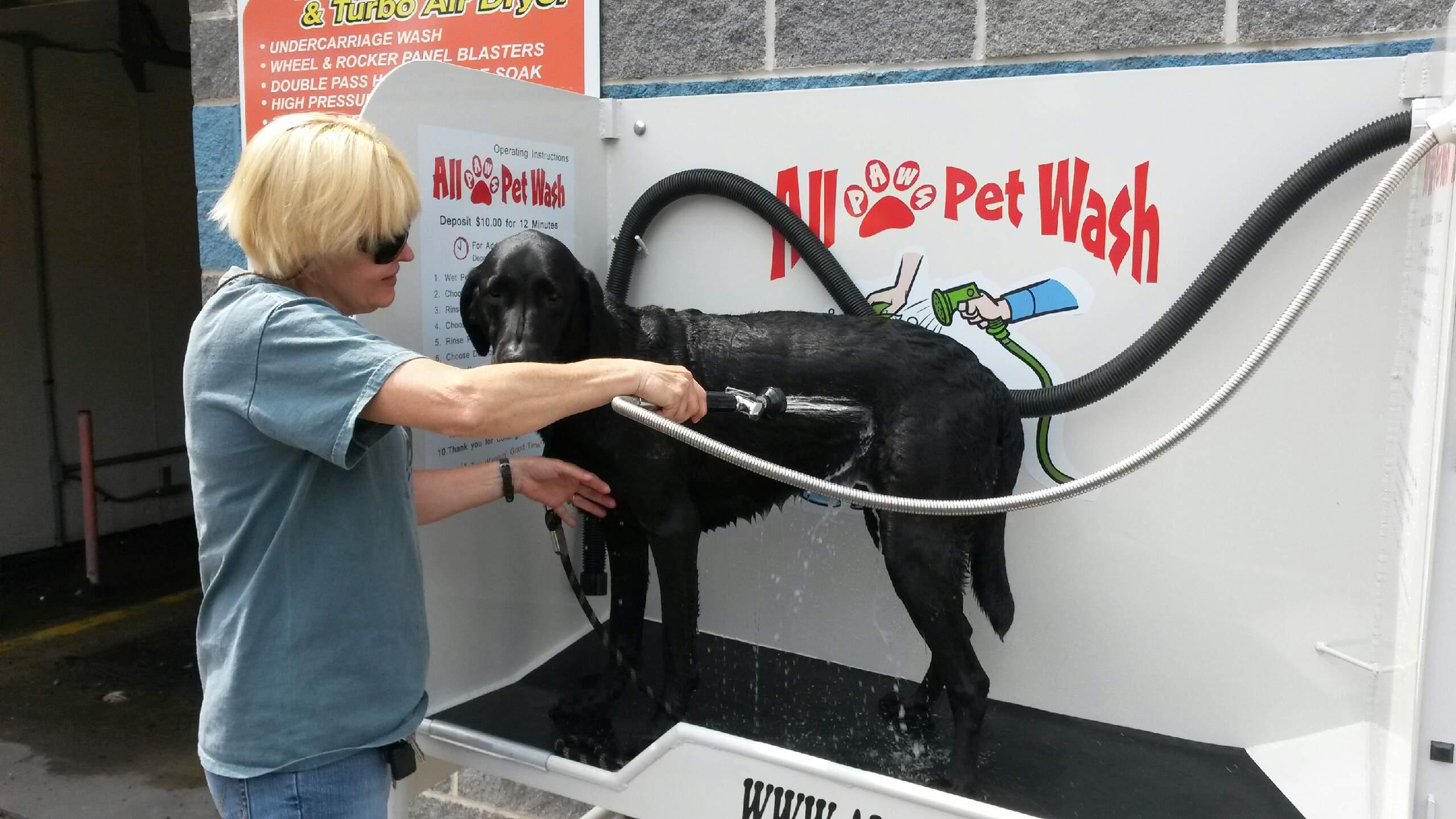 Gallery All Paws Pet Wash