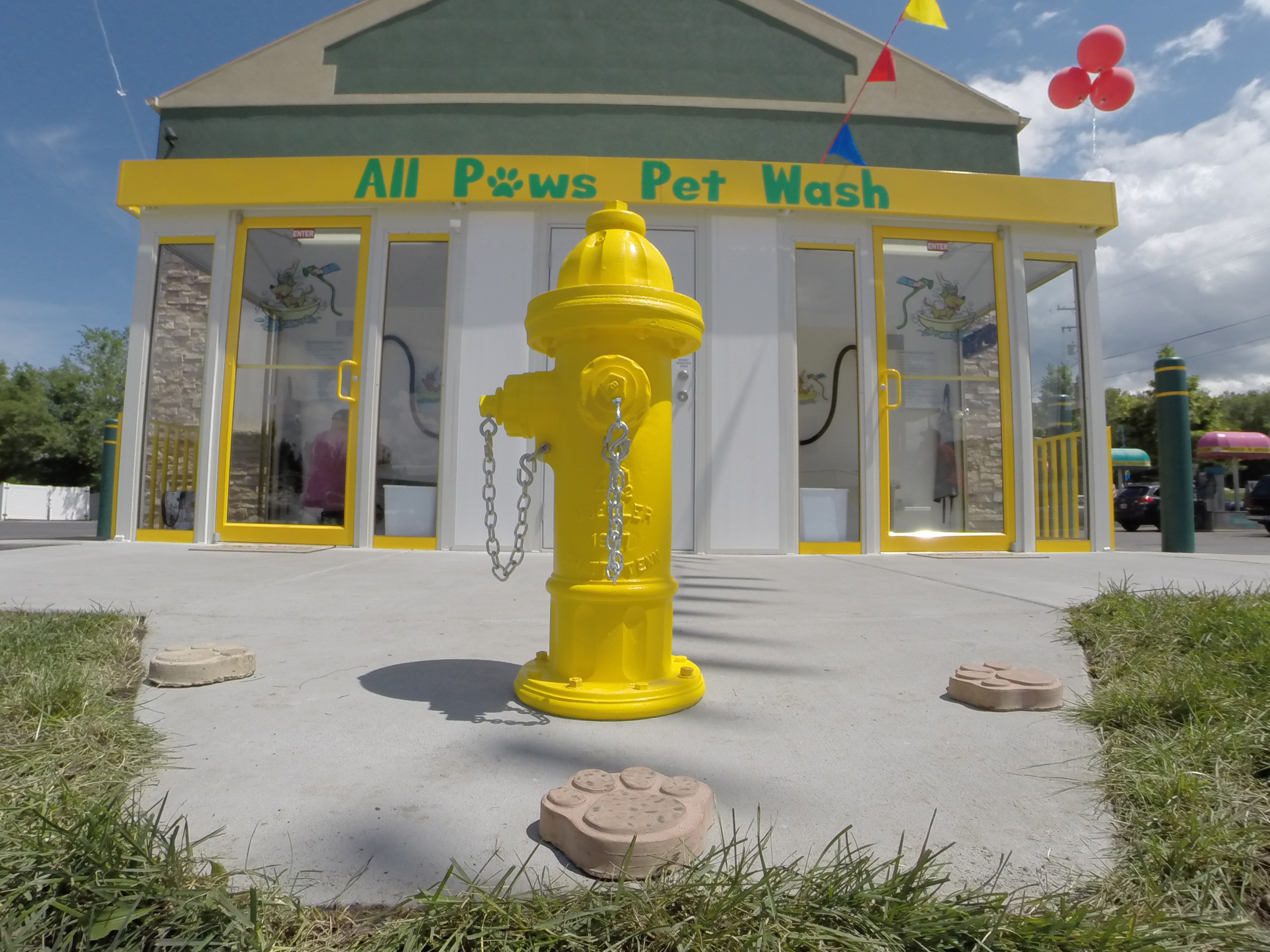 Gallery All Paws Pet Wash