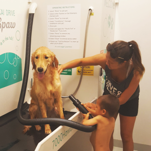 Boy and Mom giving their dog a bath at The Paw Spaw in Hawaii