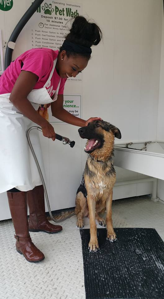 Sudsy S You Wash Dog Wash Sudsy S You Wash Dog Wash